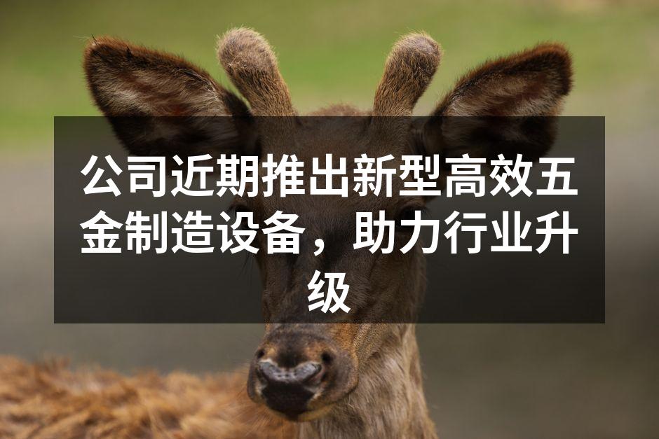 新型五金制造设备展示